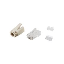 Equip 121176 RJ-45 Plug Transparent, White