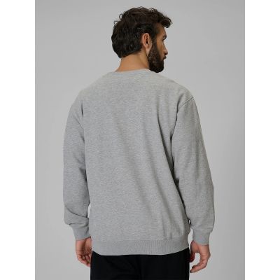 2. Men's regular sweatshirt without hood 4F 4FRMM00TSWSM3059-27M