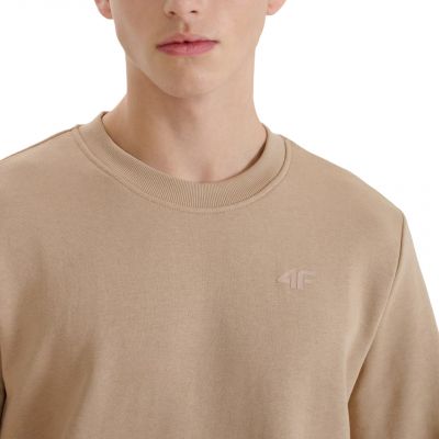 4. Sweatshirt 4F M1622 M 4FWSS25TSWSM1622 83S