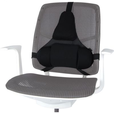 2. Fellowes Ergonomics Professional Back Support Cushion