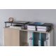27. GEMBIRD 2-MONITOR STAND (RECTANGULAR SHAPE)