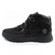 20. Timberland Field Trekker M TB0A1ZPU015 shoes