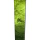 10. DYNASTAR M-Vertical 88 Open Skis
