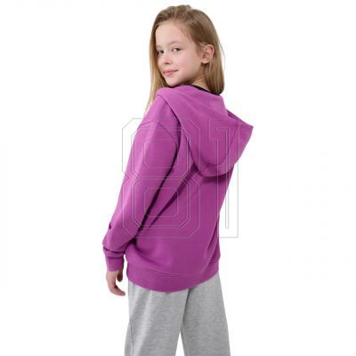 5. Sweatshirt 4F F1853 Jr 4FJWSS25TSWSF1853 50S