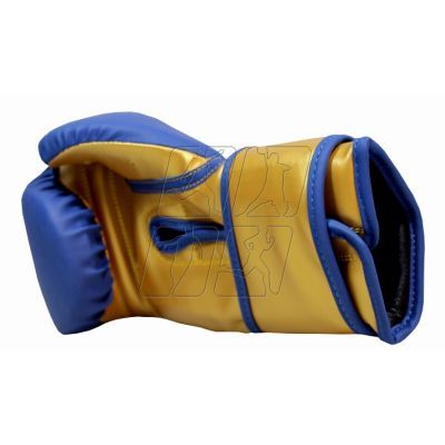 16. Masters Boxing Gloves RPU-COLOR/GOLD 10 oz 01439-0210