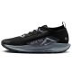 2. Nike Pegasus Trail 5 Gore-Tex FQ0908-001 shoes