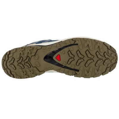 4. Salomon XA Pro 3D v9 GTX M L47817400 Running Shoes