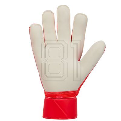 3. Nike Match Gloves HQ0257-635