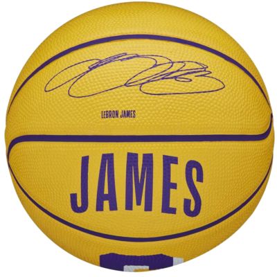 4. Wilson NBA Player Icon Stephen Curry Mini Ball WZ4007401XB