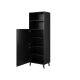 2. ABETO display cabinet 60x40xH176.5 black/gloss black
