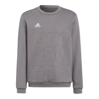 Adidas Entrada 22 Sweat Top Jr H57477 sweatshirt