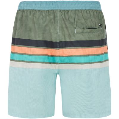 2. Men’s PROTEST PRTAvik green beach shorts