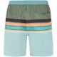 2. Men’s PROTEST PRTAvik green beach shorts