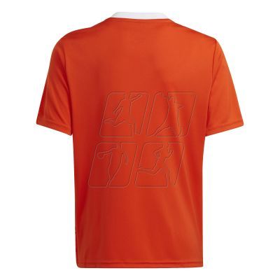 2. Adidas Team Icon 23 Jr T-shirt IC1254