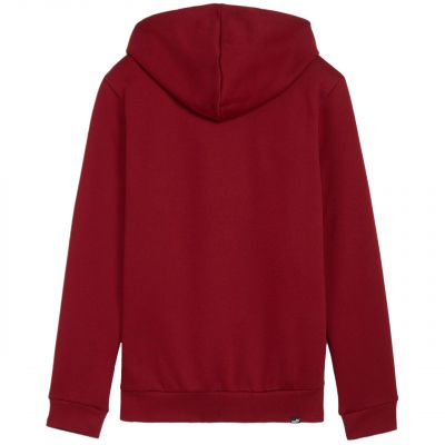 2. Puma Ess+ Logo LAB Hoodie FL W 682987 13