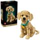 LEGO 11384 Icons - Golden Retriever Puppy