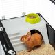 18. CASITA 120 (x1) - rabbit cage