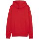 2. Puma Team Goal Casuals Hooded M 658595 01 sweatshirt
