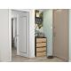 4. MODO SHOE CABINET X2 ANTHRACITE/ARTISAN