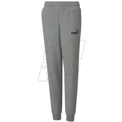 Puma ESS Logo Pants FL Jr 586973 03