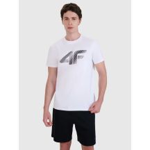 Men's T-shirt 4F 4FWMM00TTSHM2257-10S