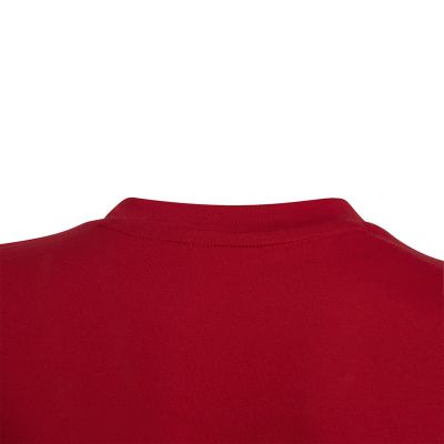 3. adidas Entrada 22 Tee Jr HC0446