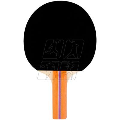 7. Spokey Alpha Set 84352 table tennis set