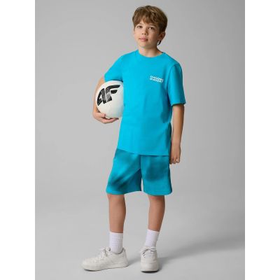 3. Boy's regular printed T-shirt 4F 4FJRSS26TTSHM3832-33S