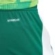 17. adidas Tiro 24 M IS1410 shorts