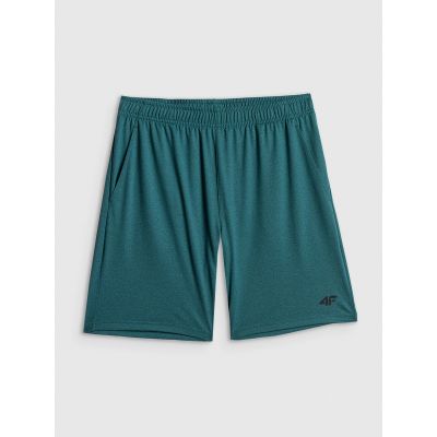 Men's quick-drying training shorts 4F 4FWSS26TFSHM1277-41M