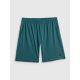 Men's quick-drying training shorts 4F 4FWSS26TFSHM1277-41M