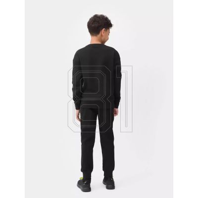 14. Sweatshirt 4F Jr. 4FJSS23TSWSM222-20S