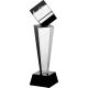 8. Engraved glass trophy with case