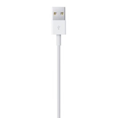 3. Lightning to USB Cable (0.5 m)