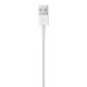 3. Lightning to USB Cable (0.5 m)