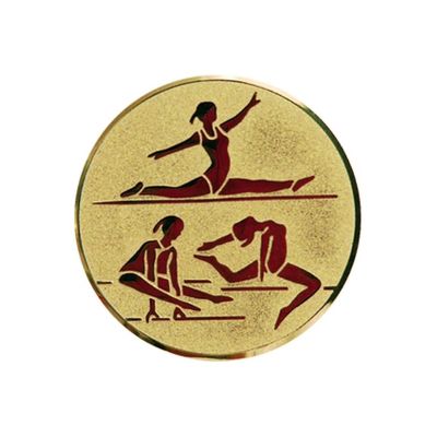 2. Aluminium insert – women’s gymnastics