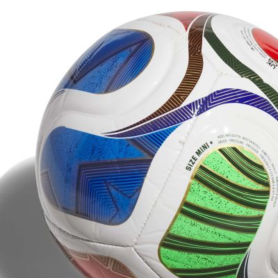 3. adidas WC Trionda Mini+ JD8049 ball