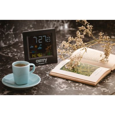 5. CAMRY CR 1166 Weather Station