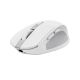 Trust OZAA COMPACT Wireless Mouse white