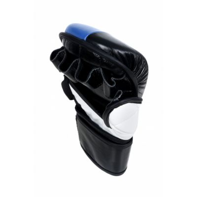 4. Masters MMA Gloves GFS-10 0110-02M