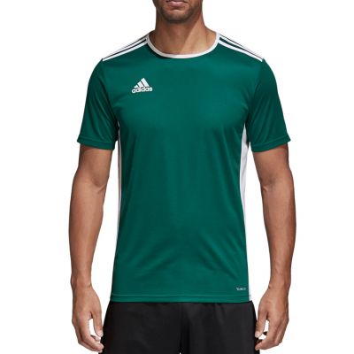 3. adidas Entrada 18 Jr T-shirt CD8358