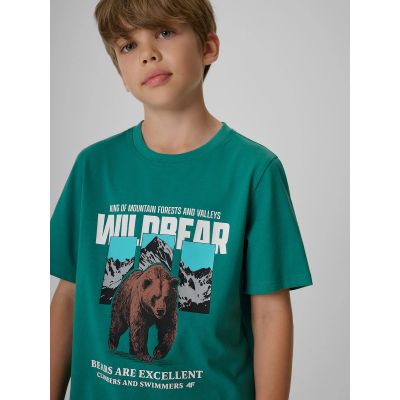 3. Boy's regular printed T-shirt 4F 4FJKAW26TTSHM4456-46S