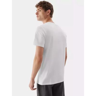 2. T-shirt 4F M 4FAW23TTSHM0877-10S