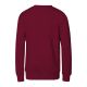 4. Children's Crew Sweatshirt (garnet)