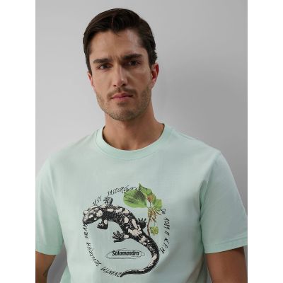 3. Men's regular printed T-shirt 4F 4FKAW26TTSHM4474-47S