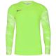 2. T-shirt Nike Dry Park IV M CJ6066-702