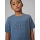 3. Boy's regular printed T-shirt 4F 4FJRSS26TTSHM3599-10S