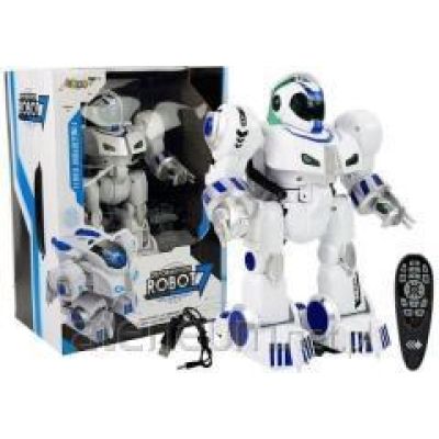 Interactive Remote-Controlled Robot