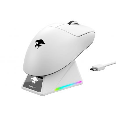 4. Havit StarBlaze-1 Wireless Gaming Mouse (White and Black)