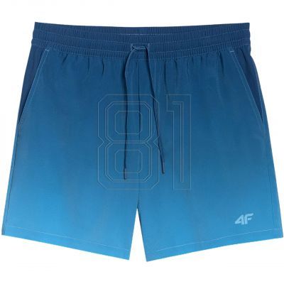 2. Swim shorts 4F M 4FWSS25UBDSM132 46S